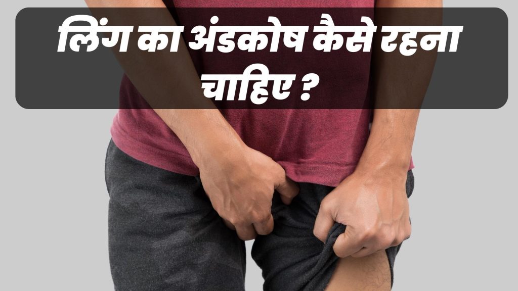 लिंग का अंडकोष