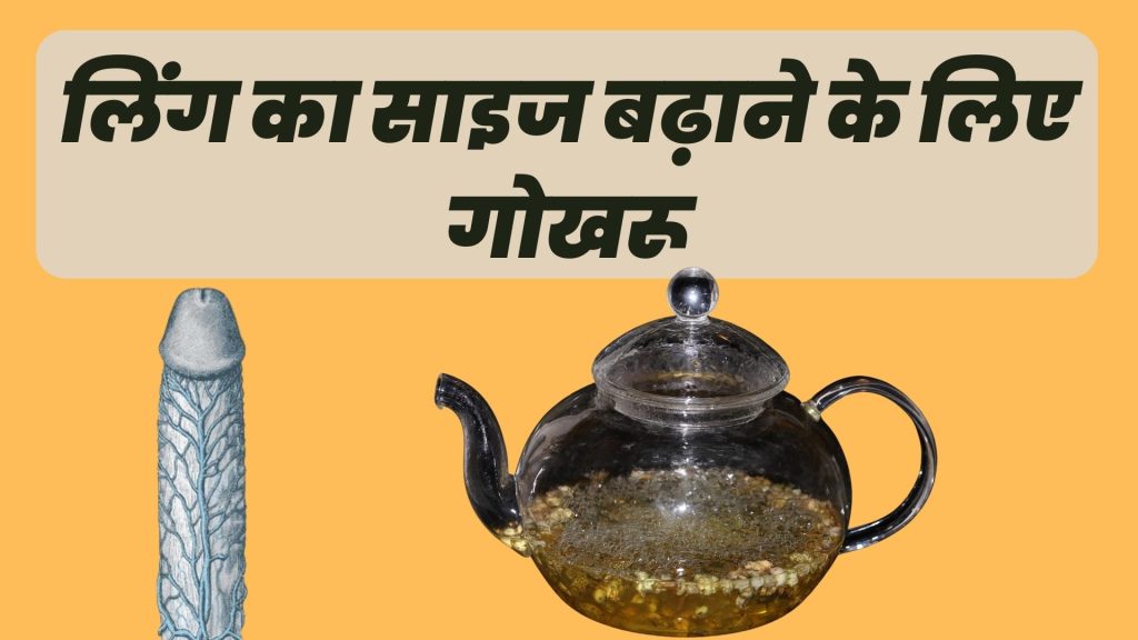 लिंग का साइज बढ़ाने के लिए गोखरू