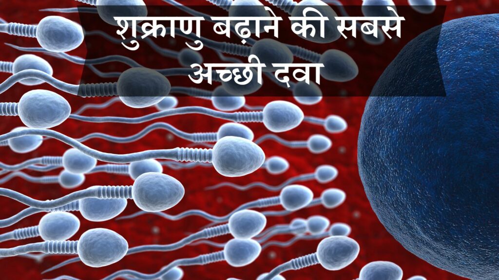 शुक्राणु बढ़ाने की सबसे अच्छी दवा