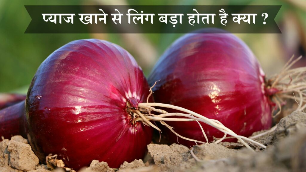 प्याज खाने से लिंग बड़ा होता है क्या