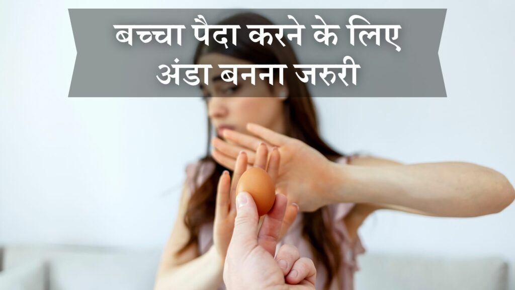 बच्चा पैदा करने के लिए अंडा बनना जरुरी