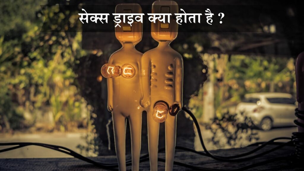 सेक्स ड्राइव क्या होता है